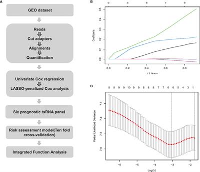 Development of a tRNA-Derived Small RNA Prognostic Panel and Their Potential Functions in Osteosarcoma